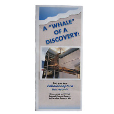 A Whale of a Discovery Pamphlet Caroline County Virginia Fossil Whale picture