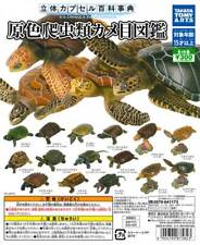 3D Capsule Encyclopedia Primary Color Reptile Turtle Zukan Completed Set 15pcs picture