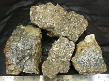 rm69 - Turitella Agate - Wyoming - 8.5 lbs - FREE US SHIPPING #1427 picture
