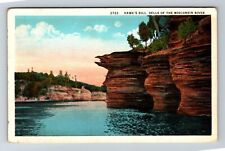 Dells Of WI River WI-Wisconsin, Hawk's Bill Vintage Souvenir Postcard picture