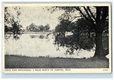 1935 State Fish Hatcheries Lake Trees Pontiac Michigan Antique Vintage Postcard picture