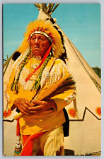  Postcard The Dignity And Poise Of A Chief Native American Indian Unposted picture