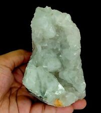 755g Clear Apophyllite Crystals Cluster On Base Matrix Mineral Specimen - India picture