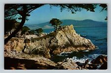 Caramel CA-California Midway Point Caramel Bay Monterey Cypress Vintage Postcard picture