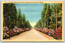Postcard Rhododendros And Azaleas Oregon Coast Highway Oregon Posted 1942 picture