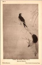 Scenic, Birds on Branch, British Museum, Vintage Postcard picture