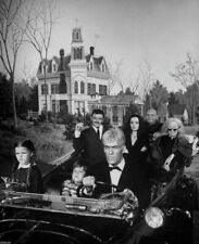 The Addams Family Cast John Astin Carolyn Jones Ted Cassidy 8x10 Glossy Photo picture