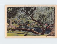 Postcard Famous Wishing Tree In Florida Cypress Gardens, Florida picture