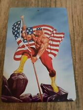 Hulk Hogan Holding USA Flag Real American Artwork 8x12 Metal Wall Sign picture