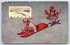 Postcard - Two Bears Sledding Winter Scene by St John c1906 picture