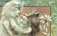 Tuck Humorous Cats Postcard 122 M. Boulanger, He Loves Me Not, He Love Me picture