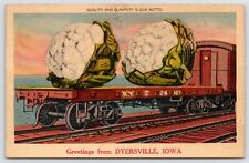 Dyersville IA~Quantity & Quality Exaggerated Cauliflower~Railroad Flatbed 1940s picture