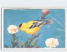 Postcard American Goldfinch (Spinus tristis) picture