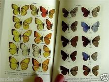 Guide to BUTTERFLIES of YELLOWSTONE/TETON Parks COLOR/160pp/NEW Useful NICE L@@K picture