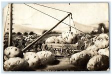 1910 Exaggerated Potatoes Horse And Wagon Martin Ralph SD RPPC Photo Postcard picture