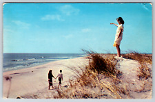 c1960s Long Island Beach Ocean Dunes Vintage Postcard picture
