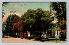 Sturgis MI, Nottawa Street, c1913 Michigan Vintage Postcard picture