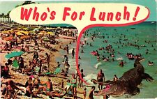 Vintage Postcard- Florida Beach, FL picture