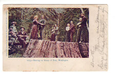 Postcard: Dancing on Stump of Tree, Washington - c. 1904 - fiddler, couples picture