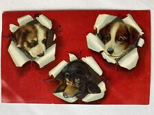 Pupoy Dogs Breaking Through Vintage Antique 1910 German Postcard picture