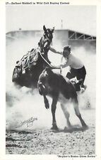 Stryker's Rodeo Gloss Series Postcard 17 Delbert Riddell Calf Roping Contest picture