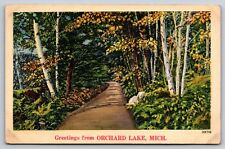 Greetings From Orchard Lake Michigan Vintage Postcard picture