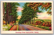 Greetings From Gallatin Tennessee TN Sunset Linen Postcard PM Cancel WOB Note 1c picture
