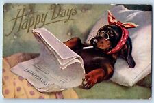 Jackson Minnesota MN Postcard Anthropomorphic Dog Cigar Reading Newspaper c1910s picture