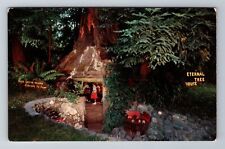 Redcrest CA-California, Eternal Treehouse, Antique Vintage Souvenir Postcard picture