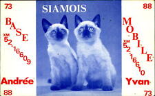 Siamois cats ~ QSL card ~Lourdes de Joliette ~ Quebec Canada picture