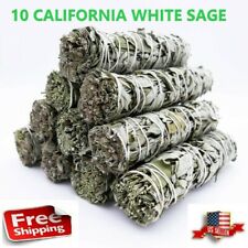 X 10 California White Sage Smudge Sticks 4