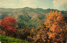 Mount Mitchell Range Postcard Posted Blue Ridge Parkway Mid-October picture