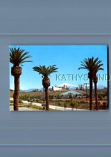 CALIFORNIA POSTCARD T_8302 GREETINGS FROM REDLANDS picture