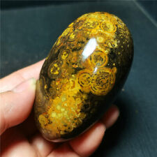 Rare 173G Natural Inner Mongolia Gobi Eye Agate Geode Collection Healing WYY2379 picture