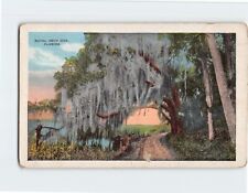 Postcard Royal Arch Oak Florida USA picture