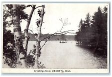 c1910 Scenic View Lake River Greetings From Mecosta Michigan MI Antique Postcard picture