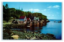 Postcard Back Cove in Pemaquid, Maine A65 picture