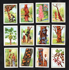 Unusual Fruit Trees Nestle 1950 Stamp Card Set Plants Chocolate Cacao Bread picture