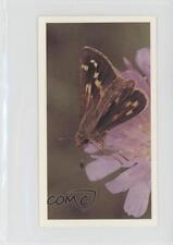 1984 Grandee Britain's Endangered Wildlife Silver-Spotted Skipper Butterfly 1md picture