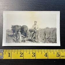 Vintage Photo Farmers With Horses In The Field picture