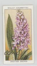 1936 Wills Wild Flowers A Series of 50 Series 1 Tobacco Spotted Orchis #26 1i3 picture