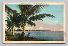 Cocoanut Palms along the Coast, Florida Linen Postcard picture