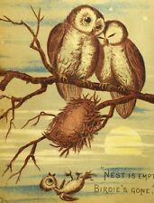 1870's-80's Lovely Owls Nest Empty Birdie's Gone, Baby Falling Victorian Card *B picture