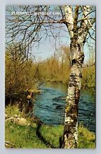 Plainwell MI-Michigan, Fishing on River, Antique Souvenir Vintage Postcard picture