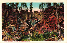 Haynes Natural Bridge YELLOWSTONE PARK Wyoming WY Postcard picture