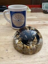 Scorpion Paperweight Bug Collector Stinger GIFT USA Made Taxidermist Taxidermy picture