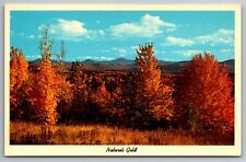 Postcard  Natures Gold Wyoming Landscape     G 15 picture