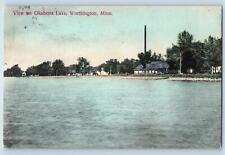 Worthington Minnesota MN Postcard Scenic View On Okabena Lake 1909 Antique Trees picture