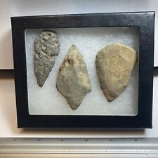 Lot of  Authentic Pennsylvania collection, Native American Arrowheads Framed picture