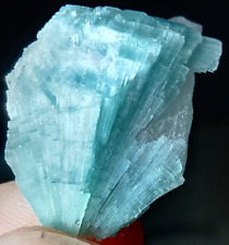 44 carat Beautiful Top quality TOURMALINE Crystal Bunch specimen @ Afghanistan picture